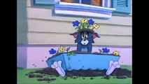 Tom and jerry best 2020 show watch till end {TOM & JERRY A.}