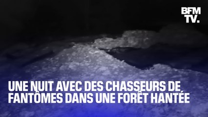 Halloween: On a passé une nuit avec des youtubeurs du paranormal dans la forêt de Fontainebleau
