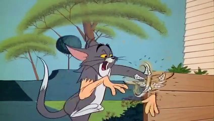 Tom & Jerry New Episode 2020: Classic Fun Returns! 🐭🐱
