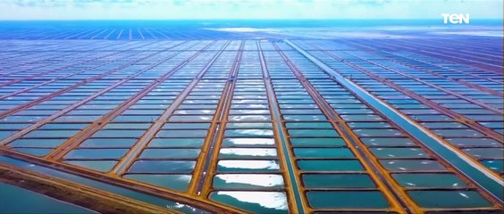 رئيس الوزراء: الشغل الحقيقي لتنمية هذه الأرض على أرض الواقع بدأ تحت قيادة الرئيس السيسي منذ 2014