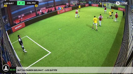 But de Fabien GELINAT - LES GÂTÉS