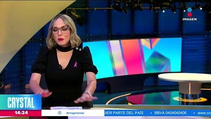 Presentan decalogo de acciones contra el maltrato animal