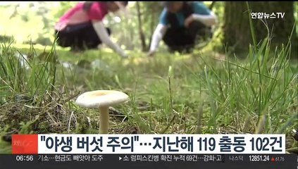 "야생버섯 먹고 탈 났어요"…지난해 119 출동 102건