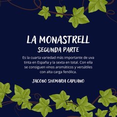 -Jacobo Shemaria Capuano- ¿Qué podemos decir de esta increíble uva? (Parte 2) (Creado por @JacoboShemariaCapuano)
