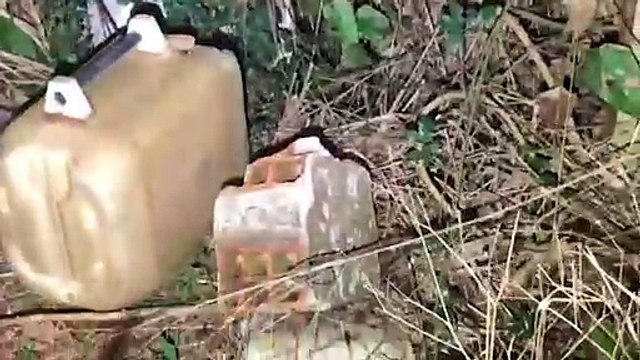 Amiga? Jararaca é encontrada em residência no Cascavel Velho