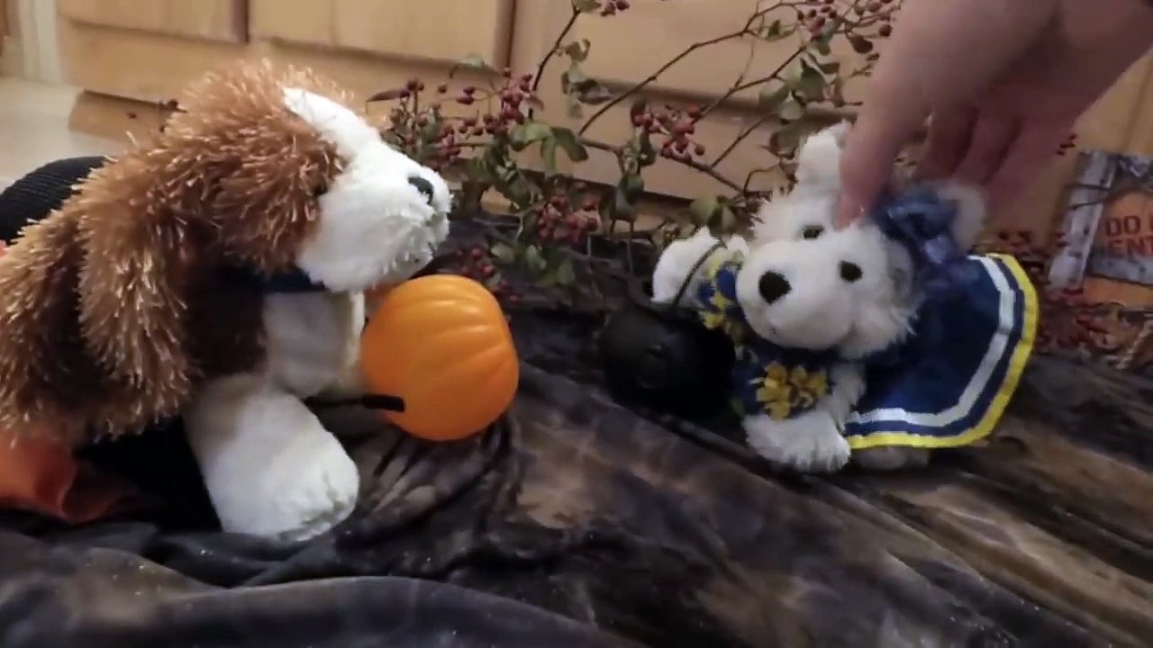 Webkinz go Trick or Treating! _ Halloween Special