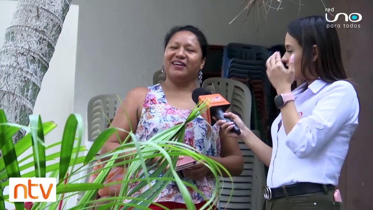 Árbol amanece con hojas trenzadas cerca a adorno de duende