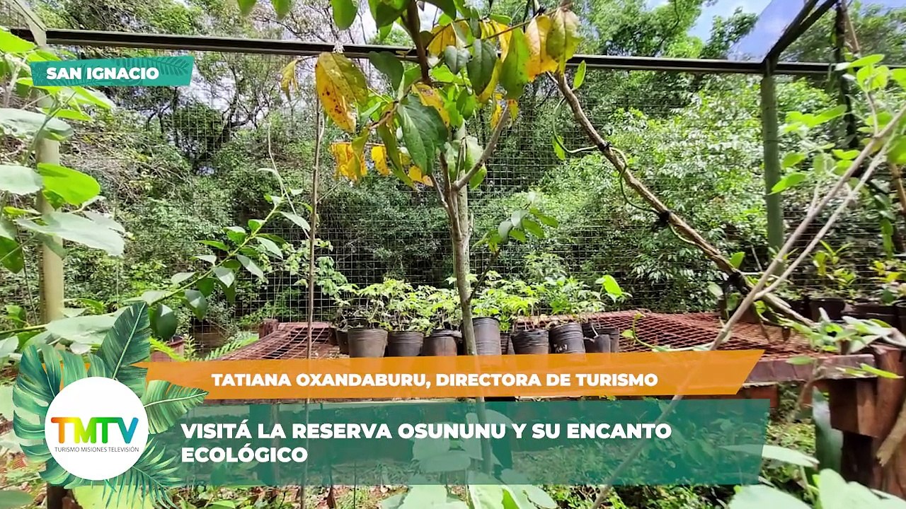 TMTV 66 | Turismo Misiones Televisión | Visita a la Reserva Osununú en San Ignacio y Apóstoles se prepara para la Fiesta de la Yerba