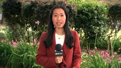 Rural Fire Service battling fires across state’s north