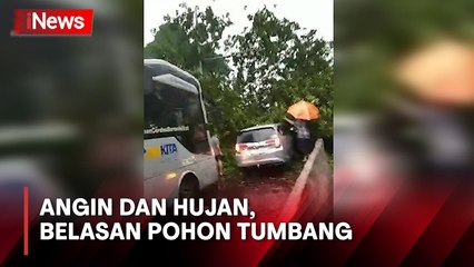 Hujan Deras dan Angin Kencang Landa Bogor, Belasan Pohon Tumbang