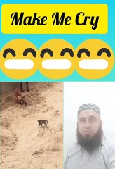 Make Me Cry #cry #cat #dog #shorts #viral #youtubeshorts #pilwaaltv