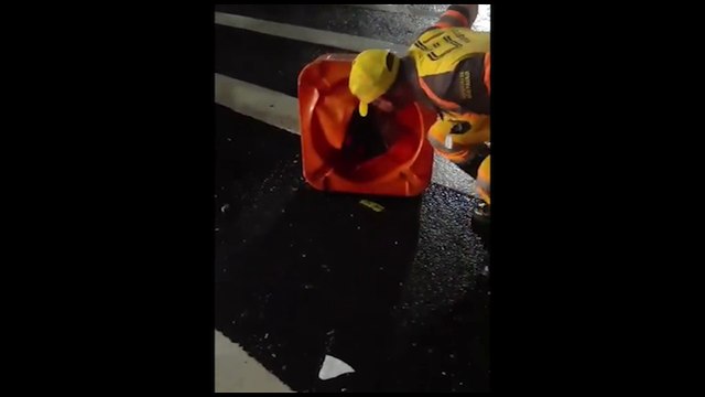 Homem fica entalado em cone de sinalização e precisa ser resgatado; veja vídeo