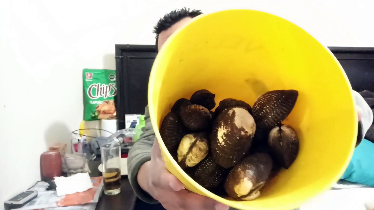 Comiendo mariscos frescos recien pescados del mar almeja negra pata de mula con limon y salsa picante tertulia para mis seguidores