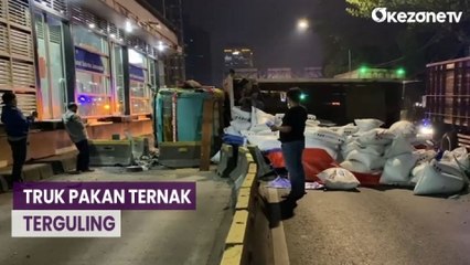 Скачать видео: Tabrak Separator Busway, Truk Muatan Pakan Ternak Terguling di Gatot Subroto