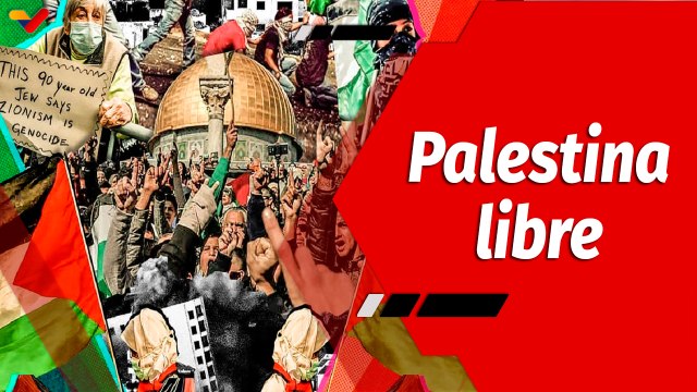 El Mundo en Contexto | Alto al Genocidio pueblos del mundo exigen el cese al fuego en Palestina