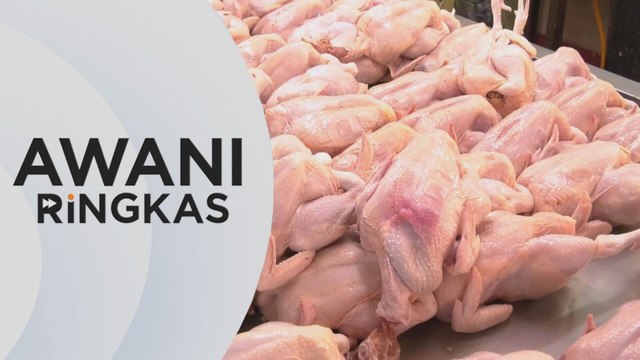 AWANI Ringkas: Kerajaan mahu fokus subsidi berfasa
