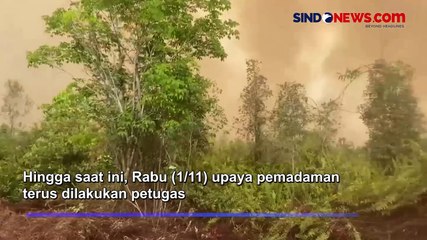 Kemarau! Puluhan Hektare Hutan Produksi di Kalteng Terbakar Hebat, Petugas Kewalahan