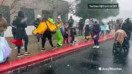 I'm dreaming of a white... Halloween?