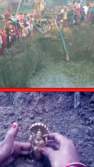 Video: जमीन से प्रकट होते भगवान विष्‍णु की वीडियो, शेषनाग भी साथ में दिखे