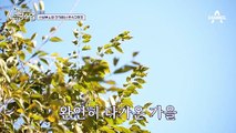 [선공개] “라면 먹고 갈래?” 데이트 명소 팔각정에서 둘만의 데이트를 즐기는 신성♥소영!