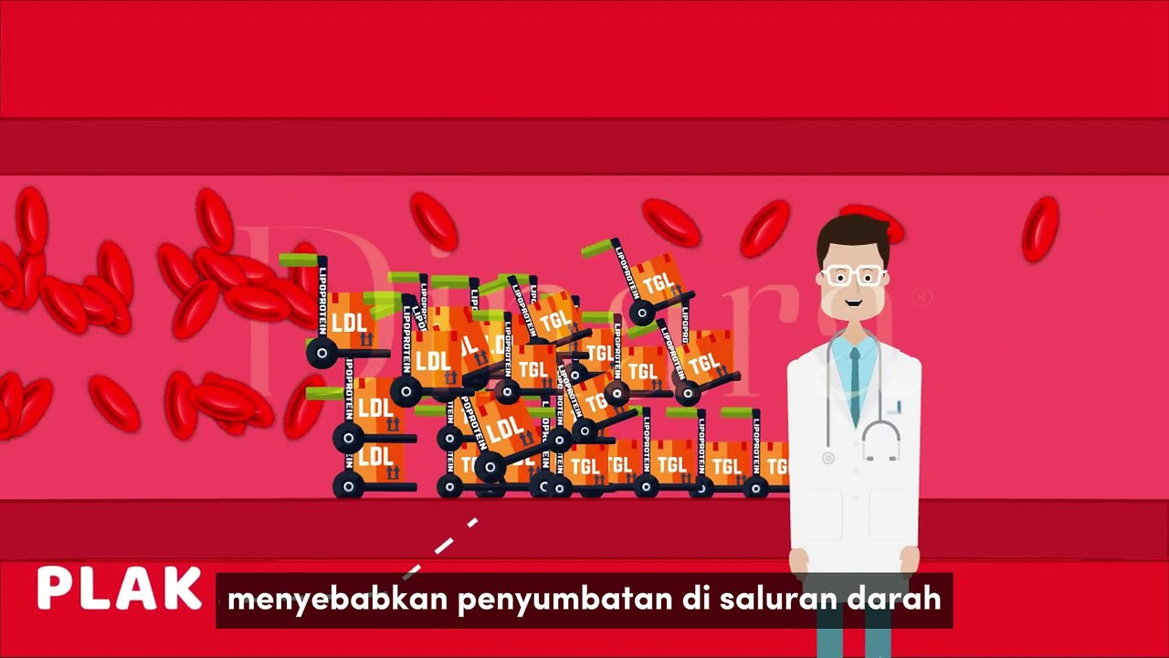 Proses Terjadinya Kolesterol
