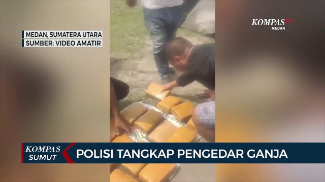 Polda Sumatera Utara Ringkus Pengedar Ganja Seberat 20 Kg