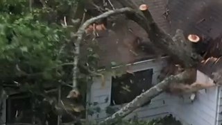 Tree Falls Down on House While Being Cut