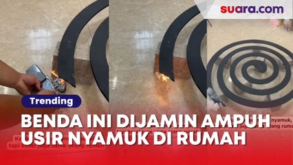 Benda Ini Dijamin Ampuh Usir Nyamuk Di Rumah, tapi Bikin Warganet Geram, Kok Bisa?