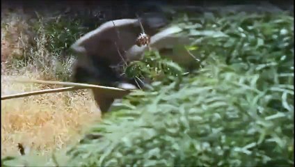 Mankind Staffel 1 Folge 1 Teil 1