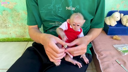 LaLa had her nails cleaned by her dad and then bathed thoroughly