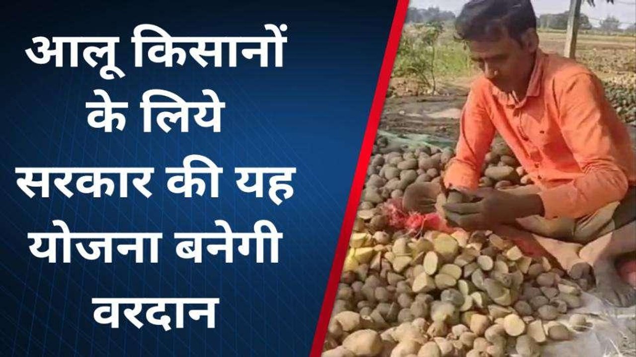 कन्नौज: आलू किसानों के लिए सरकार की योजना, तिलहनी फसलों के बीज मिल रहे मुफ्त