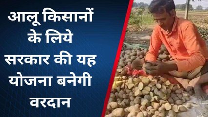 कन्नौज: आलू किसानों के लिए सरकार की योजना, तिलहनी फसलों के बीज मिल रहे मुफ्त