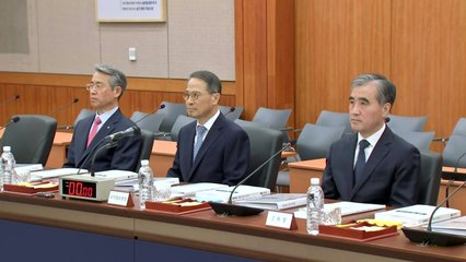 국정원 "北 김정은, 팔레스타인 지원방안 찾으라 지시 정황" / YTN