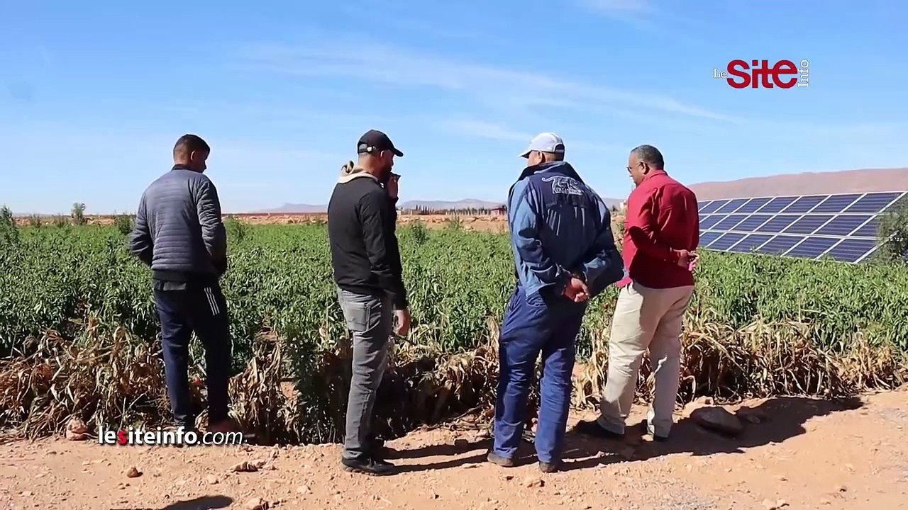 التساقطات المطرية الأخيرة تبشر بموسم فلاحي متميز بجهة الشرق