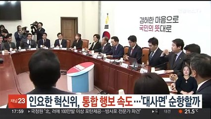 인요한 혁신위, 통합 행보 속도…'대사면' 순항할까