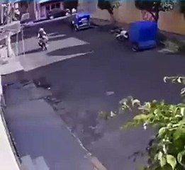 Perrito se vuelve viral tras lanzarse de una terraza y derribar a un motociclista