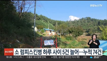 소 럼피스킨병 하루 사이 5건 늘어…누적 74건