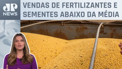 Kellen Severo: Negócios para safra de inverno no Brasil estão atrasados; entenda