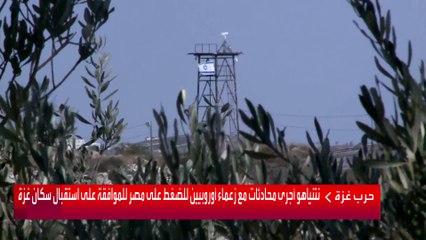 هجمات المستوطنين تمنع الفلسطينيين من قطف الزيتون في الضفة الغربية