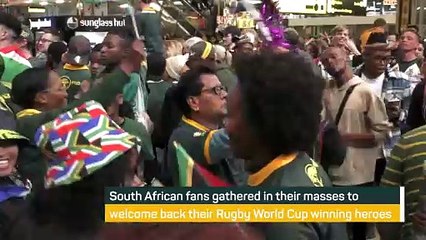 Springboks given heroes' welcome on South Africa return