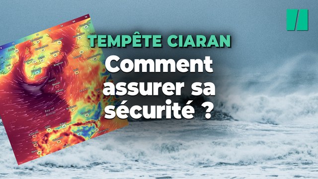 Face à la tempête Ciaran, voici les consignes de sécurité à suivre