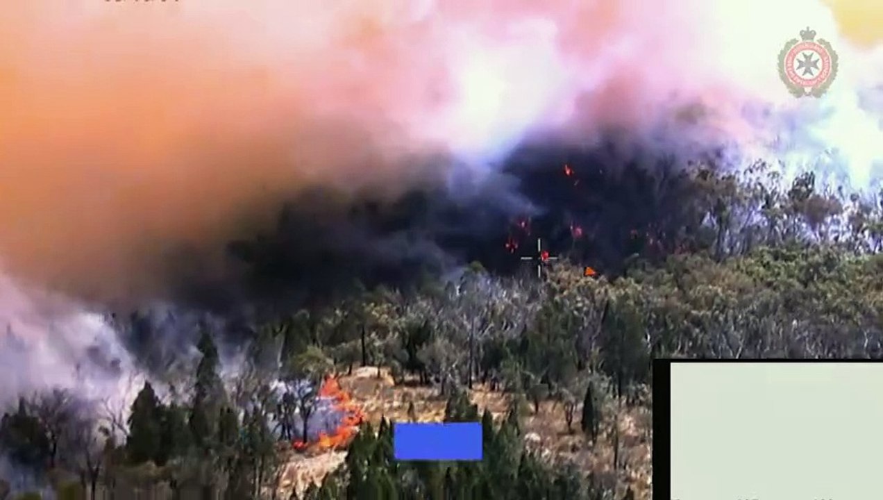 Verheerende Waldbrände im Osten Australiens