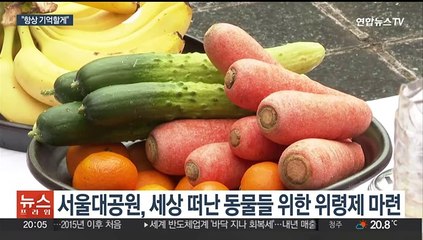 '아직도 기억 생생'…함께한 동물들과의 마지막 인사