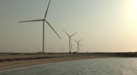 ما هو برنامج طاقة الرياح في الإمارات؟