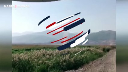 Kahramanmaraş'ta çiftçiler hasat yaparken, hortum çıktı! O anlar kamerada