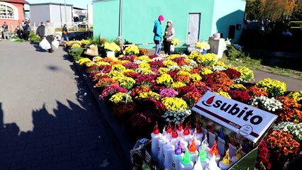 Wszystkich Świętych w Szczecinku