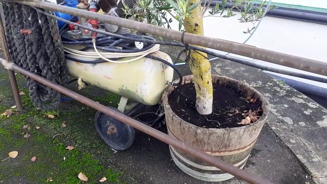 observation pour les organisations internationales