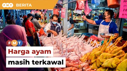 Tinjauan: Pengguna lega harga ayam masih terkawal