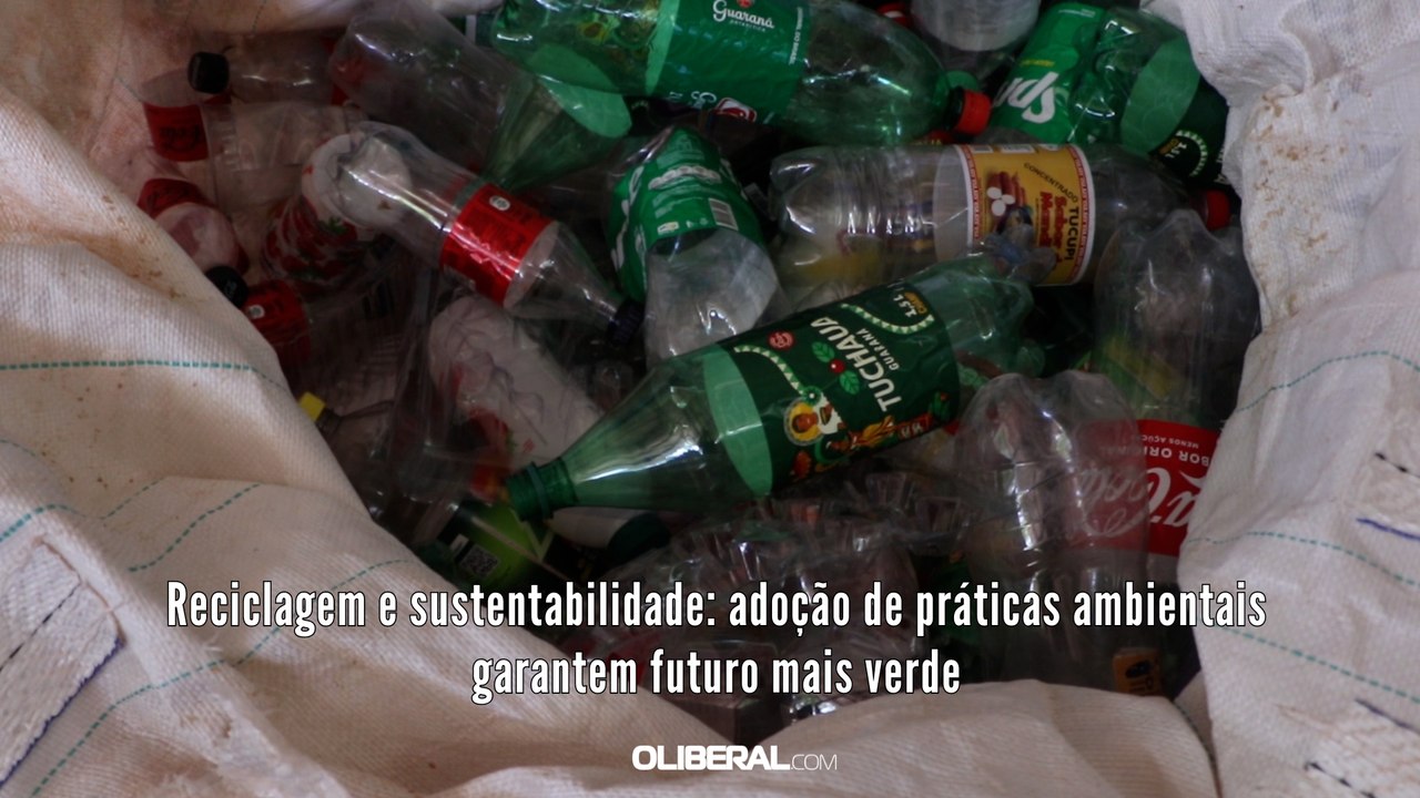 Reciclagem e sustentabilidade: adoção de práticas ambientais garantem futuro mais verde