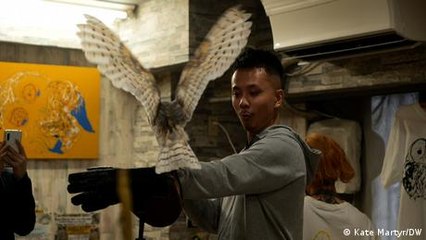 How Japan's exotic pet cafes harm animal conservation